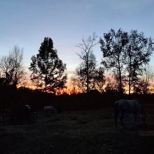 Meet your Posher, Laurel ann